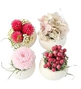 Amazon｜My Teeat プチカッ プ プリザーブドフラワー 花雑貨